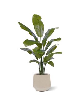 Palmera Artificial Traveller promo 160cm