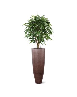 Árbol artificial Longifolia XL deluxe 120cm