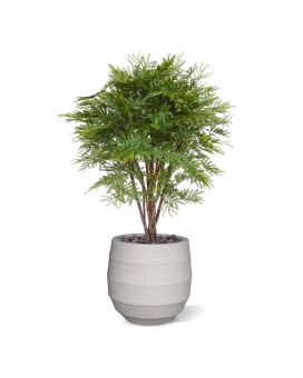 Planta artificial Mimosa 110cm - Resistente a los rayos UV