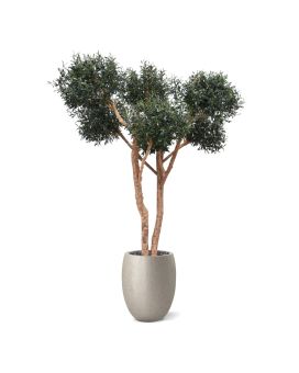 Bonsái artificial Olivo Deluxe 250cm