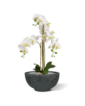 Orquídea Phalaenopsis artificial 75cm blanca
