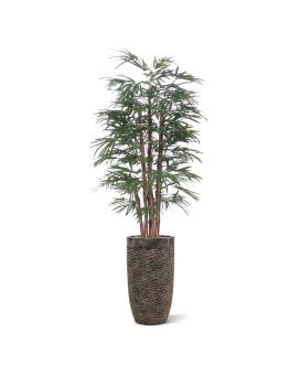 Raphis palma artificial 190cm