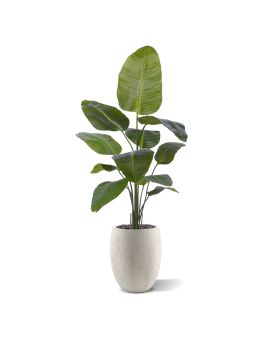 Strelitzia Nicolai planta artificial 150cm