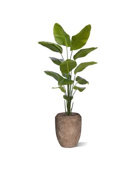 Strelitzia Nicolai planta artificial 175cm