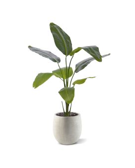 Strelitzia Nicolai planta artificial 120cm