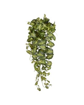 Syngonium Planta colgante artificial 90cm