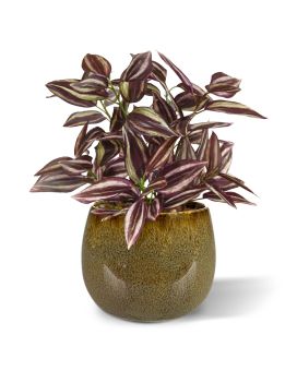 Tradescantia planta artificial 18cm - burdeos