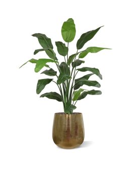 Planta de palma artificial Traveller deluxe 150cm