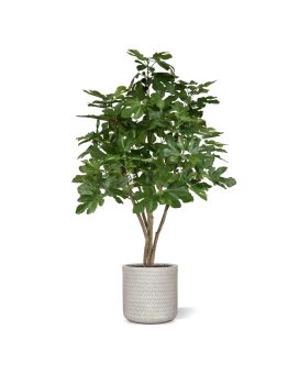 Árbol artificial de higo 120cm