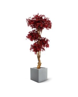 Acer artificial Bonsai Deluxe 170 cm burdeos