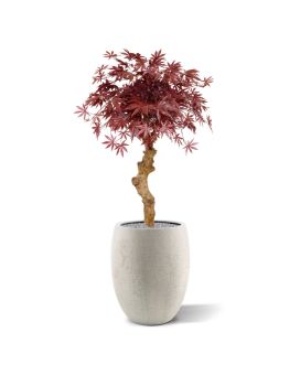 Acer Bonsai árbol artificial sobre tallo 85cm - burdeos