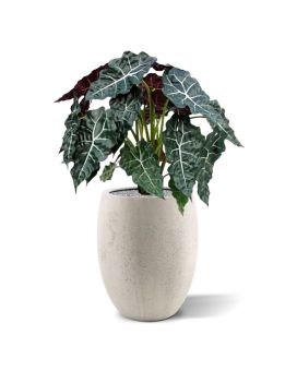 Alocasia planta artificial 75cm