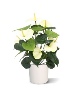 Anthurium deluxe planta artificial 50cm - crema