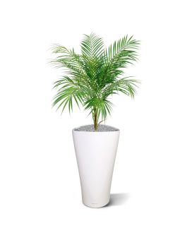 Ramo de palmera areca artificial 80 cm
