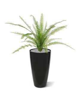 Ramo artificial Asplenium Farn 75 cm