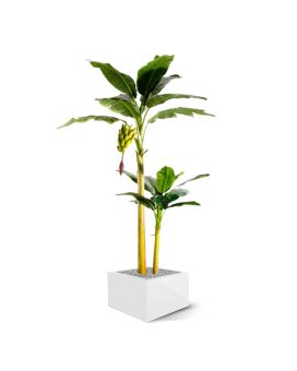 Plátano árbol artificial 240cm