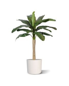 Plátano planta artificial promo 120cm