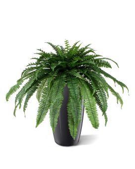 Helecho de Boston Planta artificial gigante D95