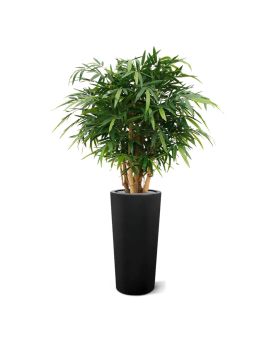 Buda Bambú planta artificial de lujo 125cm