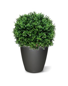 Bola de boj planta artificial de lujo N 60cm - resistente a los rayos UV
