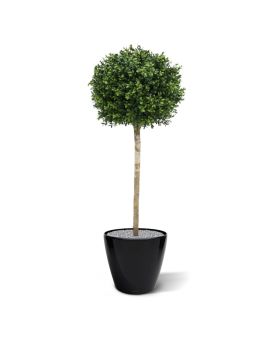 Bulbo artificial de Buxus sobre tallo 110cm - Resistente a los rayos UV