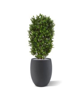 Columna de boj planta artificial de lujo 90cm