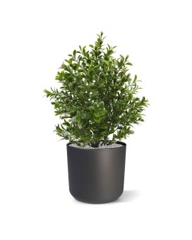 Planta artificial de boj de 30 cm - resistente a los rayos UV