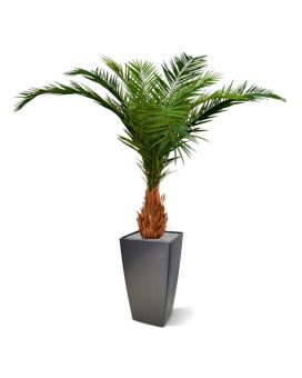 Palmera artificial Canarie Phoenix deluxe 210 cm