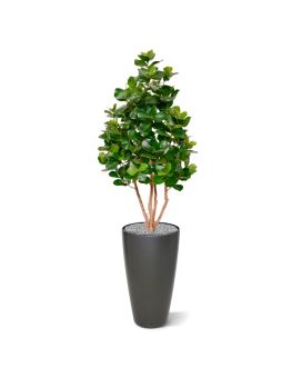 Árbol artificial Clusia Deluxe 120 cm