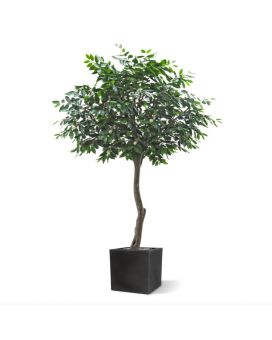 Árbol artificial de café arábica gigante 320 cm