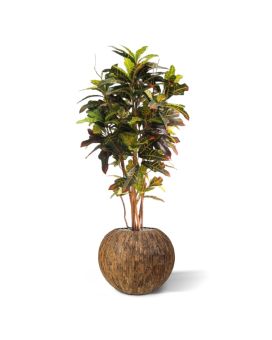 Croton árbol artificial de lujo 130cm
