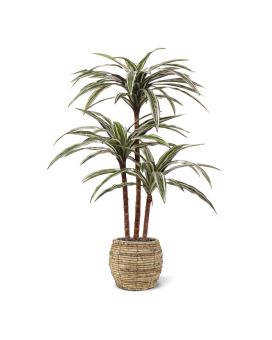 Artificial Draceana Deluxe planta 95cm