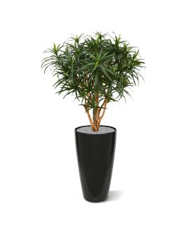 Draceana Reflexa Anita XL1planta artificial 120cm