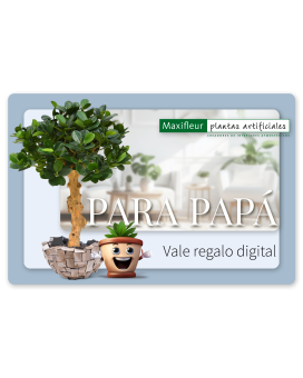  Tarjeta de regalo digital Maxifleur - Para papá