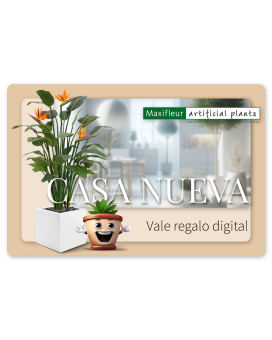  Tarjeta de regalo digital Maxifleur - Nueva Vivienda