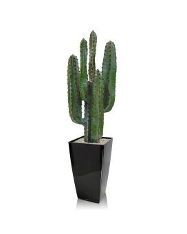 Cactus artificial Euphorbia 70cm