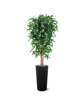 Ficus artificial Exotica Deluxe 180 cm verde