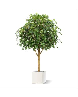 Árbol artificial ignífugo Ficus Exotica Gigante 290 cm