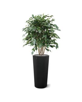Ficus Exotica XL planta artificial 110cm