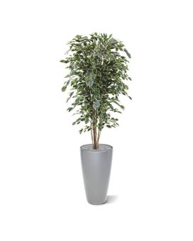 Ficus Exotica árbol artificial deluxe 180cm - variegado