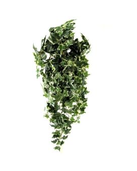 Hedera artificial colgante 110cm - variegada