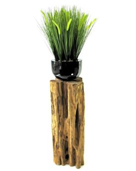 Pennisetum foxtailgrass ramo 50cm