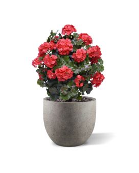 Geranio artificial bola 50cm UV rojo