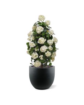 Geranio artificial pirámide 110cm planta UV Crema