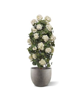 Geranio artificial planta columna 120cm UV crema