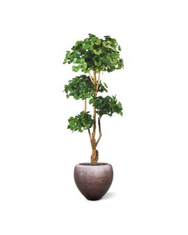 Ginko Bonsai árbol artificial de lujo 170cm