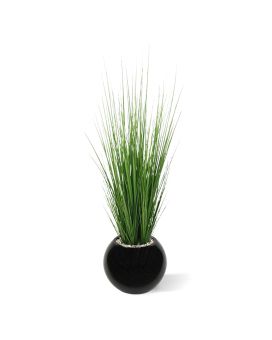 Planta de césped 100 cm en maceta