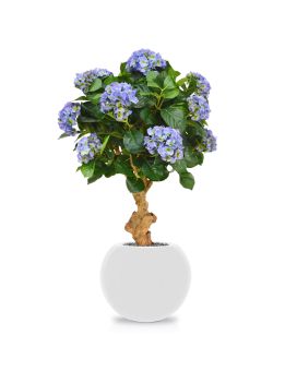 Hortensia Deluxe sobre tronco 90 cm azul