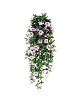 Planta Petunia rastrera 100cm rosa