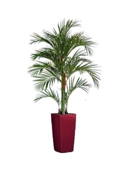 Palma artificial areca deluxe 180cm